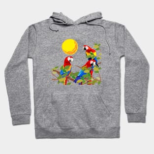 parrots Hoodie